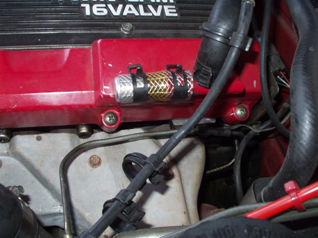 PB080020 (Small).JPG