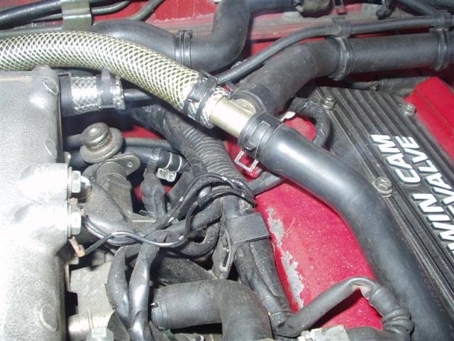 PB080019 (Small).JPG